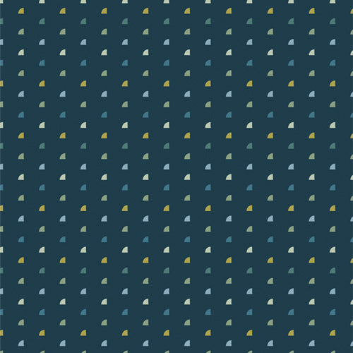 Tiny Moon Nova - Evolve