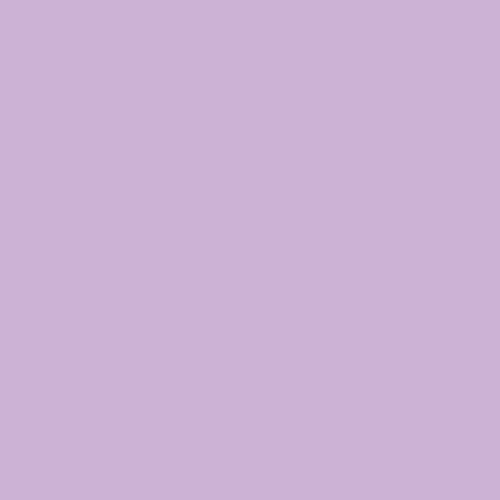 Pure Solids - Day Dreamer