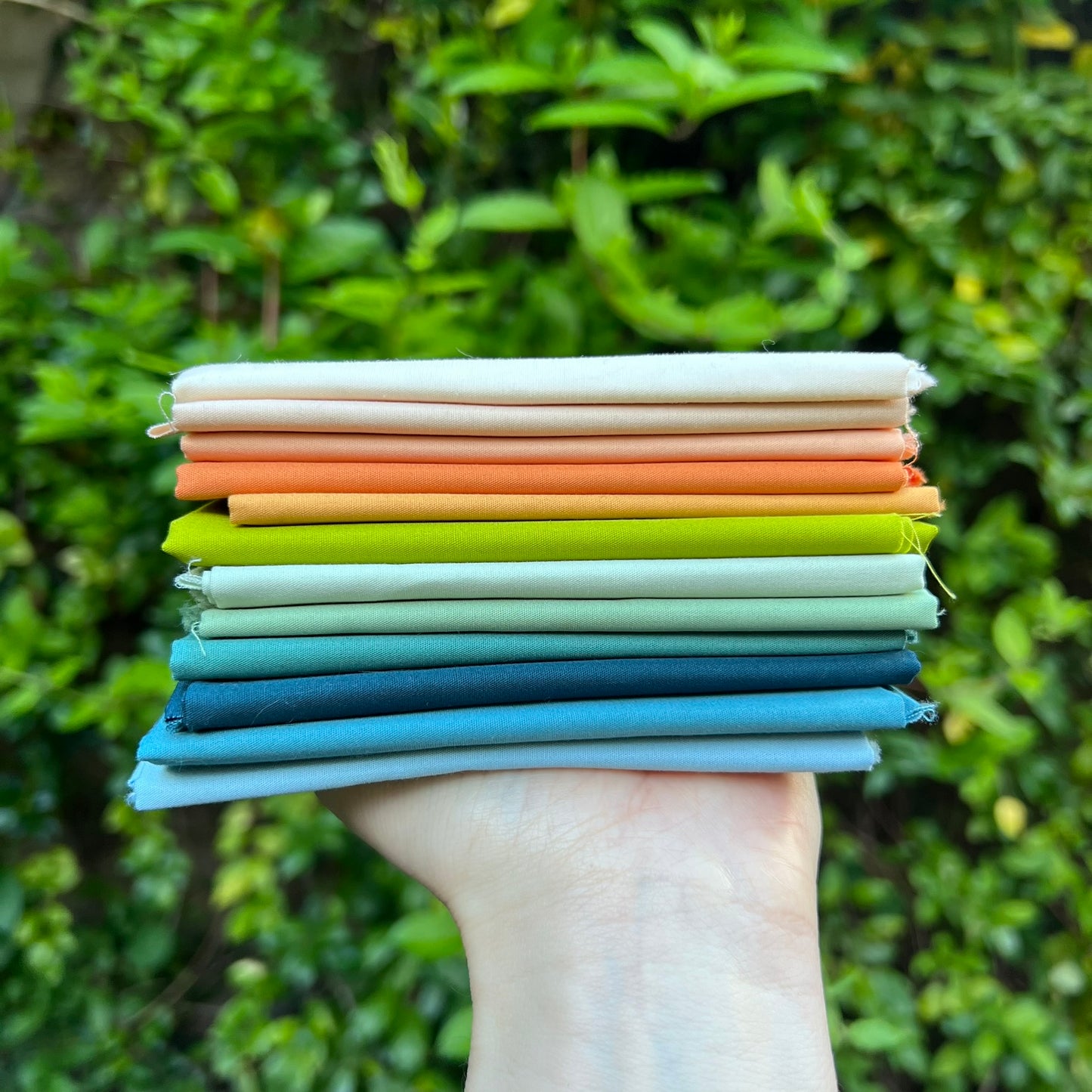 Pure Solids - Evolve Bundle