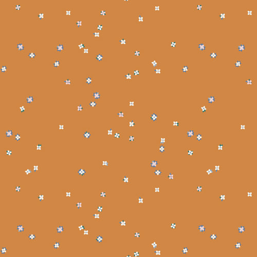 NOVEMBER Barcelona Strip Roll - Katarina Roccella