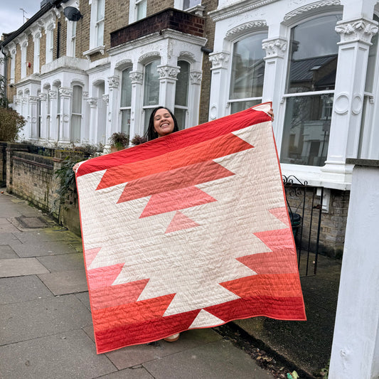 1:1 Quilt Clinic - June 13th (Saturday)